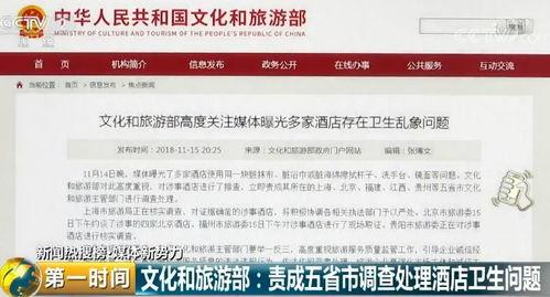 爆料奇特视频下载网站,带你探索未知领域  第3张